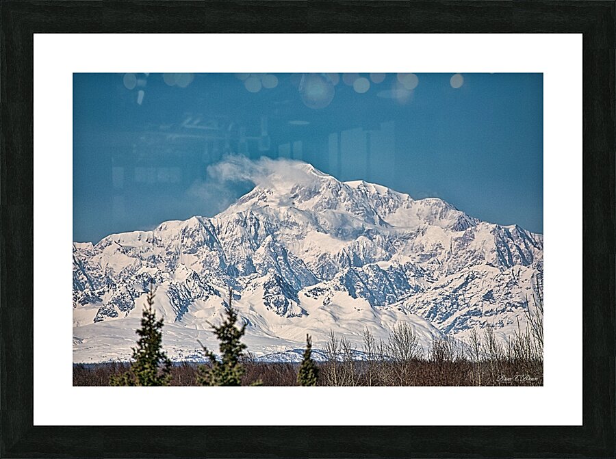 Denali on a bright blue day Picture Frame print