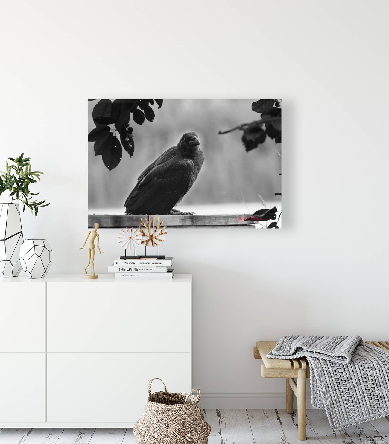 Raven in Black and White Reproduction