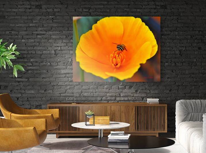 Flower with wasp by Bruce Brown