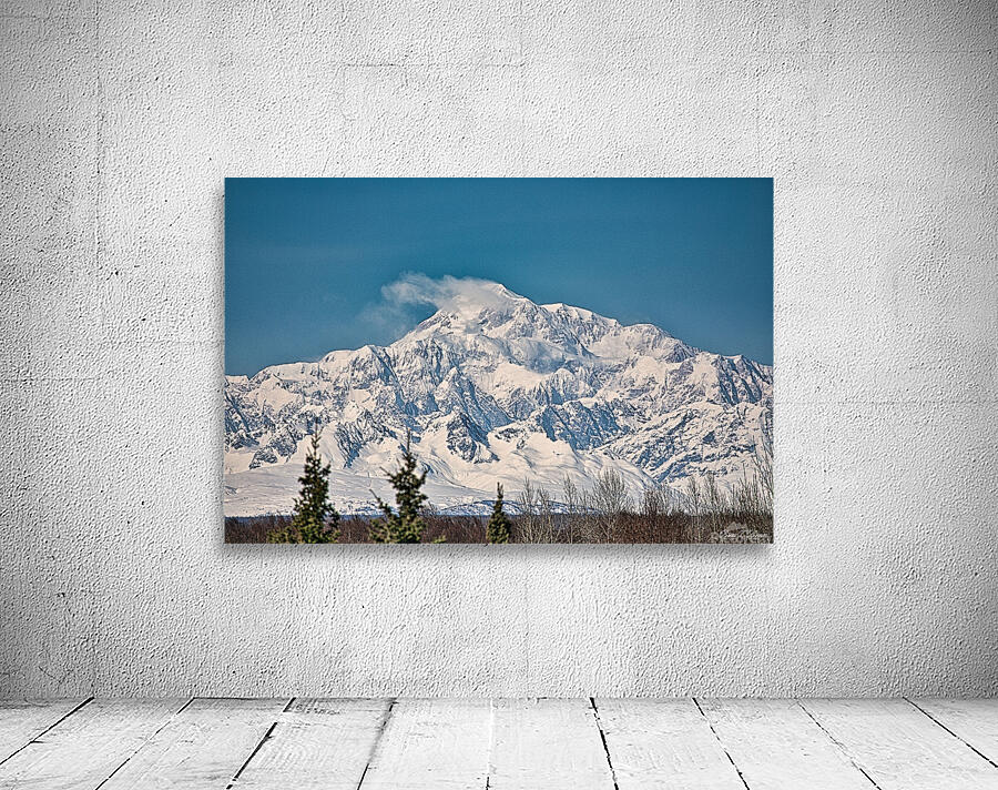 Denali on a bright blue day Wall Preview