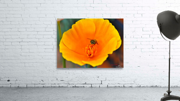 Flower with wasp Wall Preview