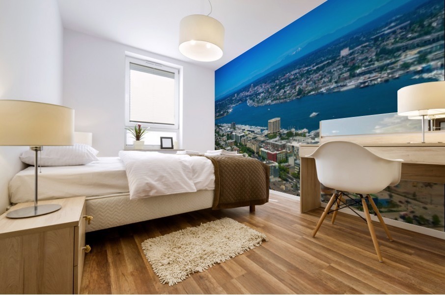 Lake Union Seattle Washington Mural print