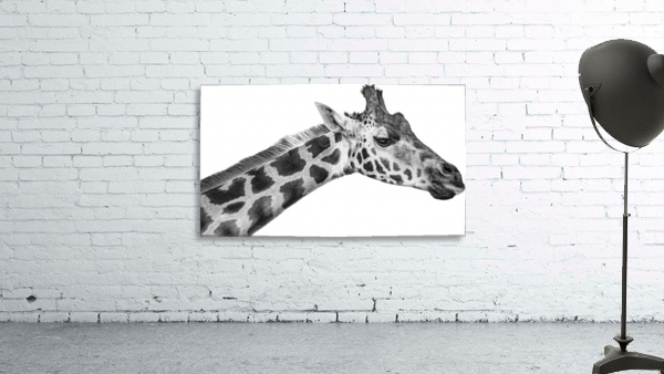 giraffe Wall Preview