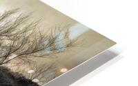 Winter Reflections on Dry Beaver Creek HD Metal print