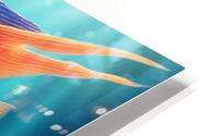 Exotic Fish HD Metal print