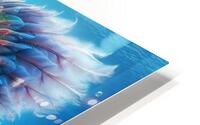 Feather Fish HD Metal print