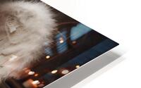 Safe Dreams HD Metal print