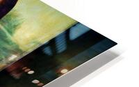 Smiles HD Metal print