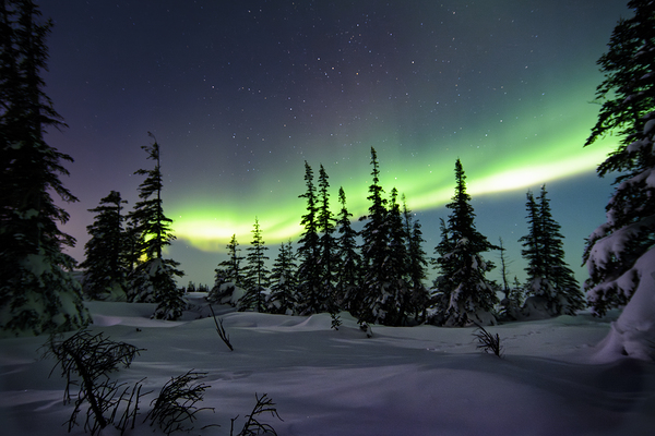 Dancing Skies beyond the Treeline 1 Digital Download