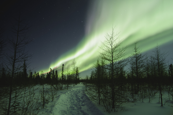 Illuminated by the Northern Lights Digital Download