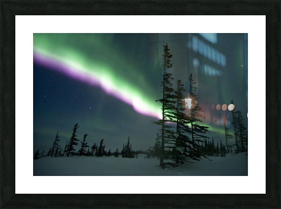 Purple Blaze Picture Frame Printing