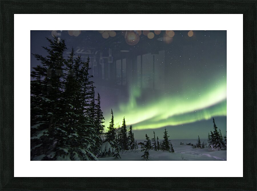 Dancing Skies beyond the Treeline 2 Picture Frame Printing