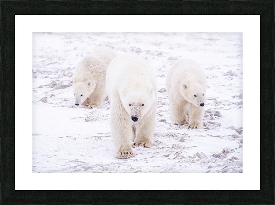 Stay By Her Side Picture Frame Printing