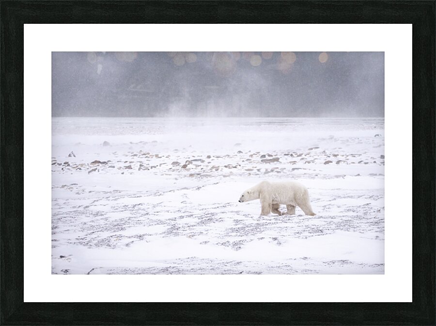 Storm Evader Picture Frame Printing