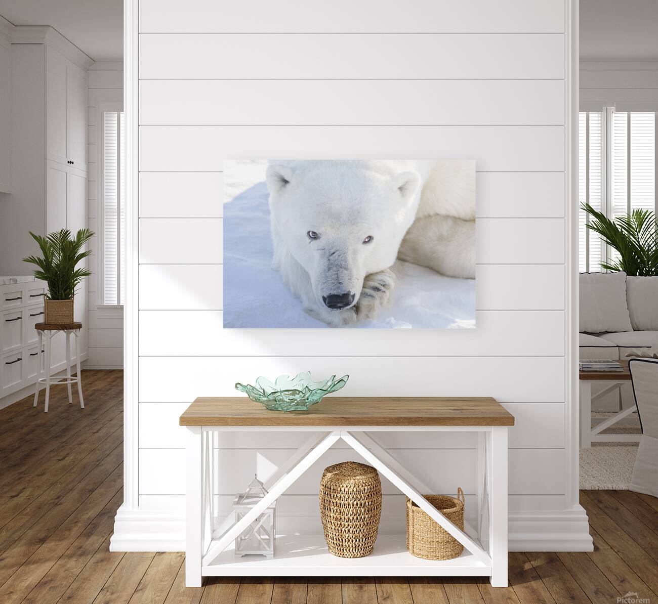 Polar Gaze Reproduction