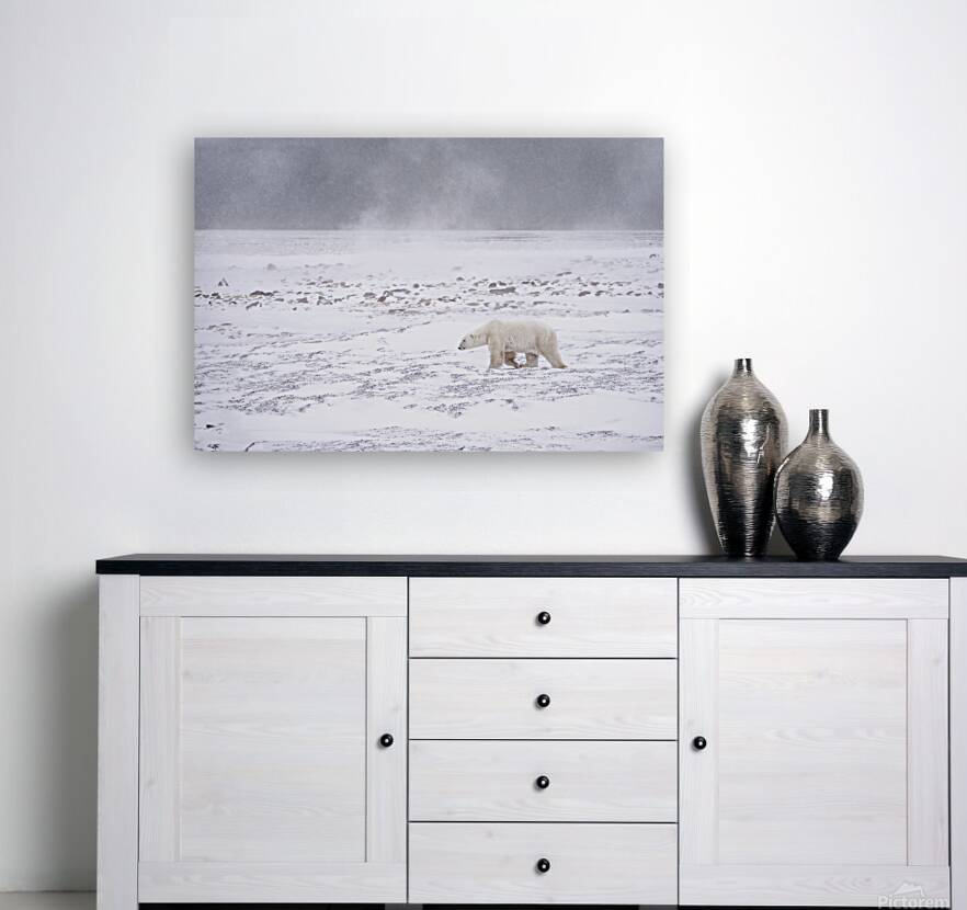 Storm Evader Reproduction