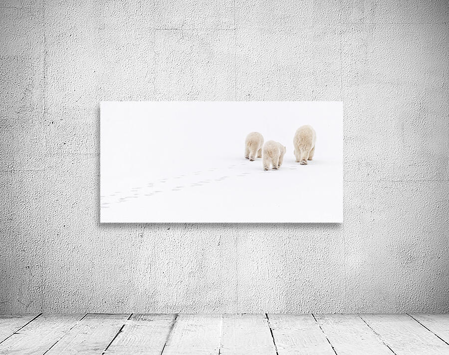 Snowwalkers Wall Preview