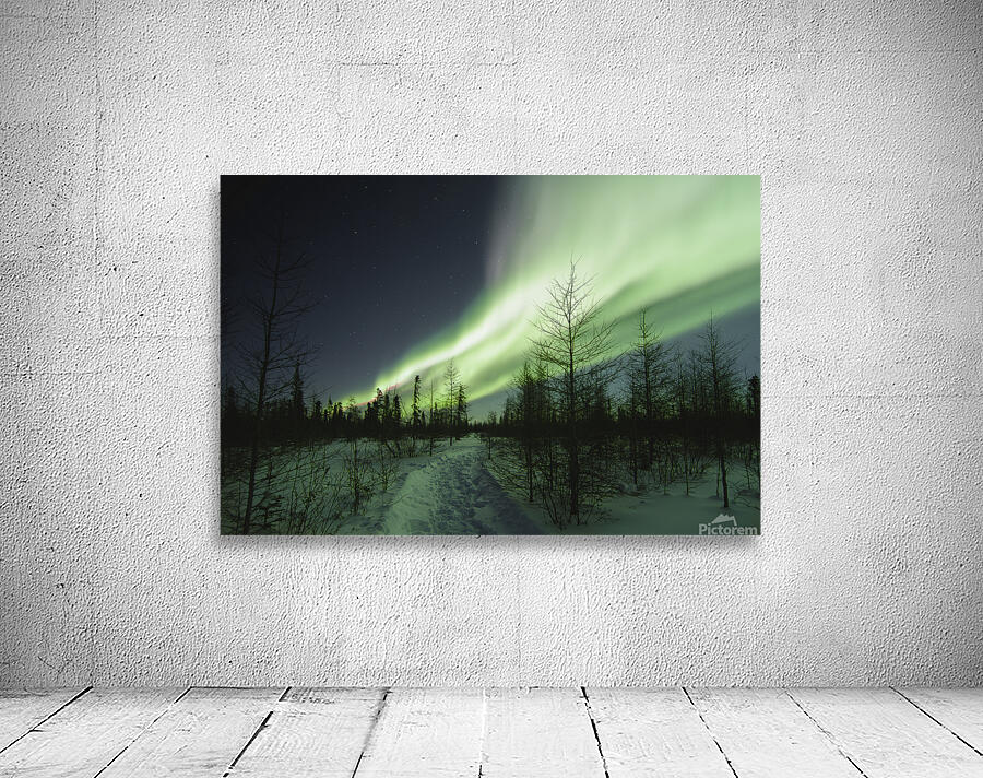 Illuminated by the Northern Lights Wall Preview