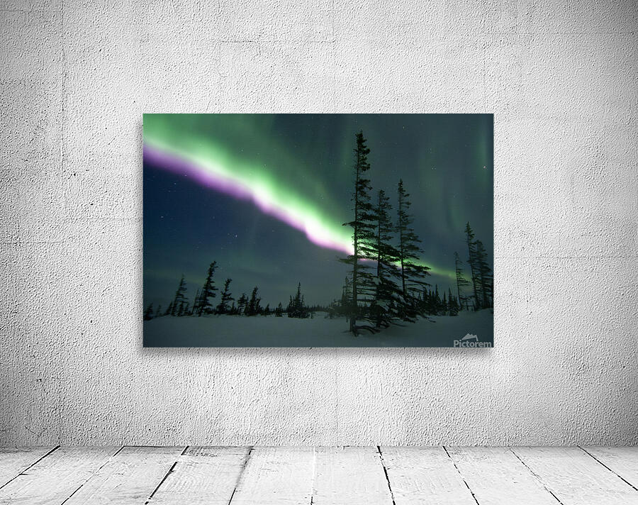 Purple Blaze Wall Preview