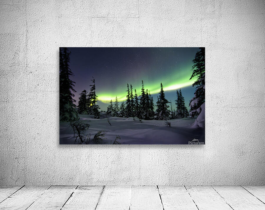 Dancing Skies beyond the Treeline 1 Wall Preview