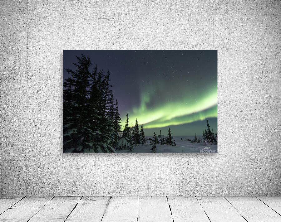 Dancing Skies beyond the Treeline 2 Wall Preview