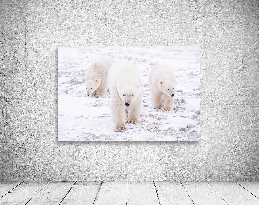 Stay By Her Side Wall Preview