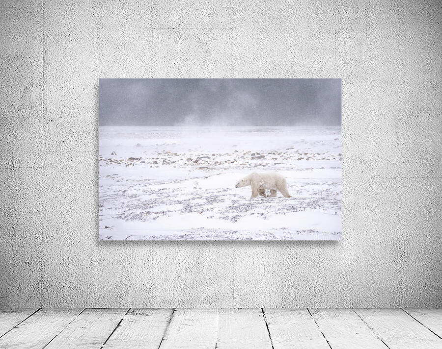 Storm Evader Wall Preview