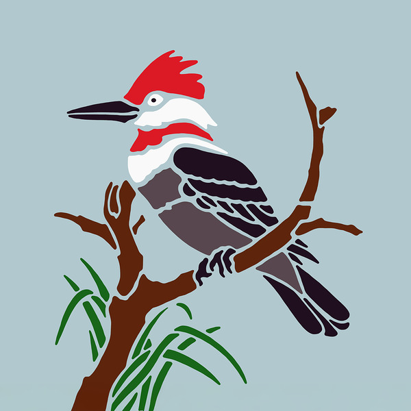 RED-HEADED WOODPECKER Digital Download