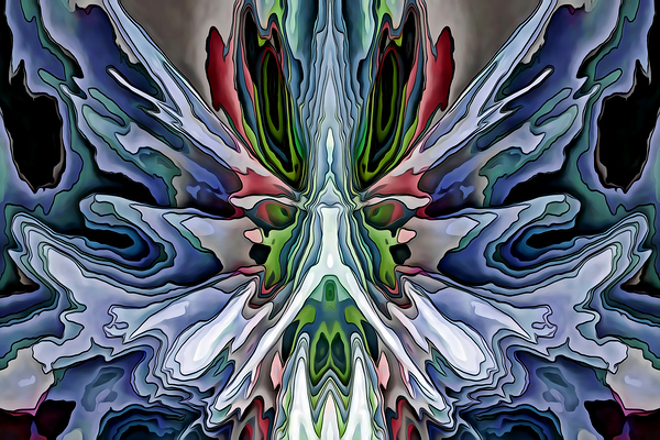 THE BUTTERFLYS STRUCTURE Digital Download