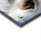 UPSIDE DOWN SWAN Acrylic print