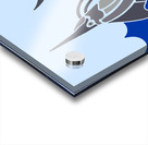 MARLIN JUMPING Acrylic print