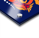 GOLDFISH Acrylic print