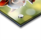 SQUIRREL WITH SMARTPHONE 2 Acrylic print