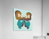 POP ART BUTTERFLY Acrylic Print