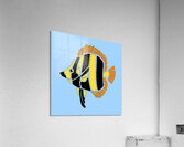 TROPICAL FISH Acrylic Print