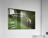 EMBARRASSING POSTURE Acrylic Print