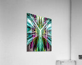 ANGEL TOMOGRAPHY Acrylic Print