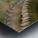 HORNS AND BEARD Metal print