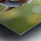 SQUIRREL WITH SMARTPHONE 2 Metal print