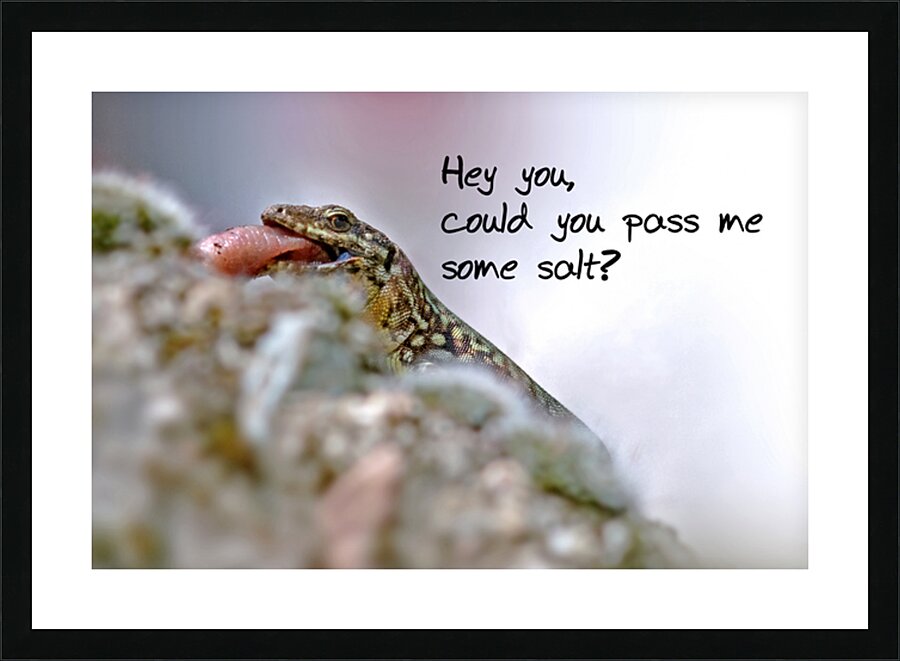 LUNCH TIME Picture Frame print