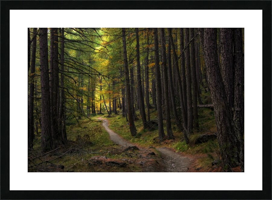 TOWARD THE LIGHT Picture Frame print