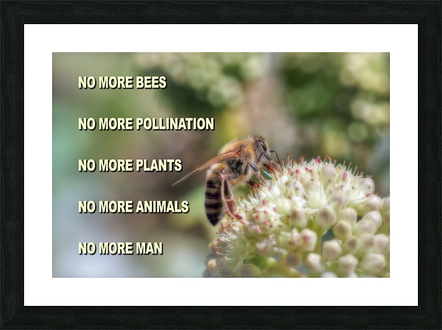 SAVE THE BEES Picture Frame print