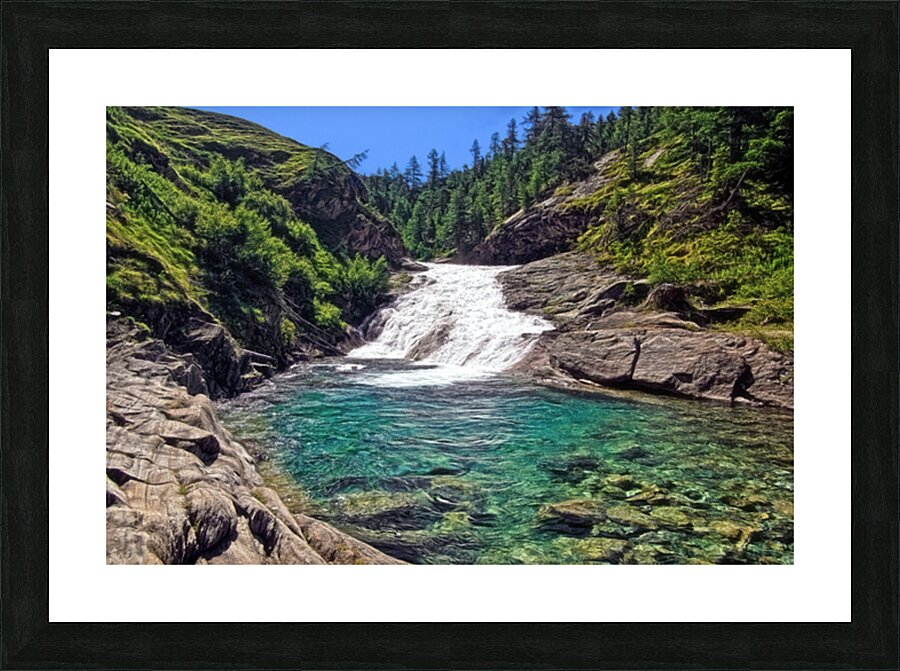 WILD NATURE Picture Frame print