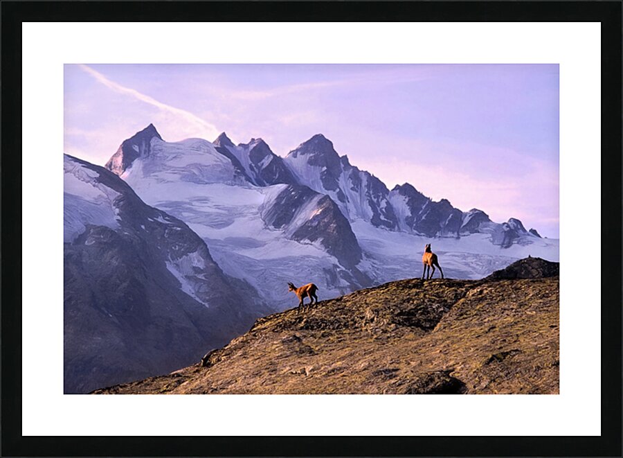 ALPINE SUNRISE Picture Frame print