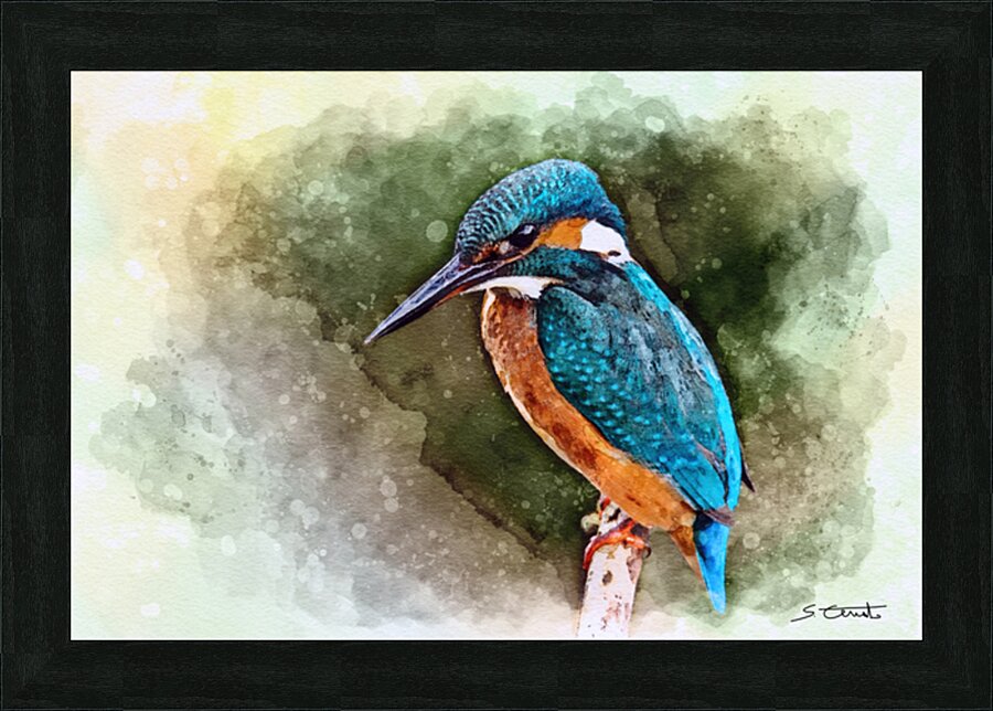 KINGFISHER Picture Frame print