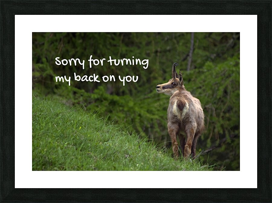 EMBARRASSING POSTURE Picture Frame print