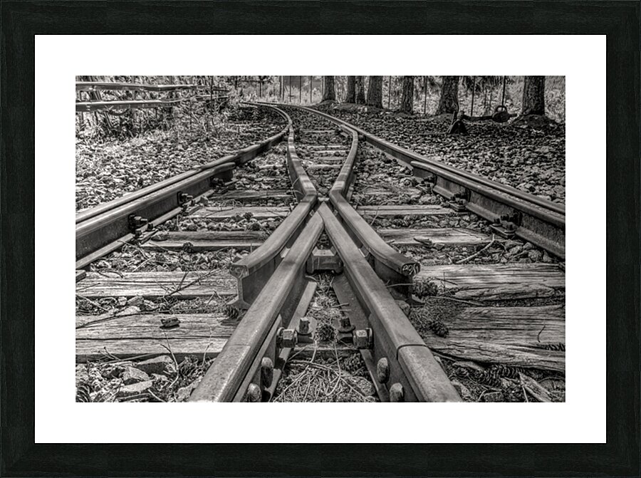 LONELY RAILS Picture Frame print