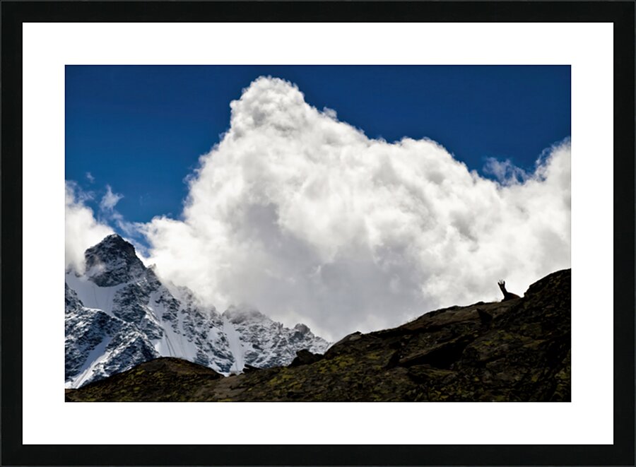 THE BORDER GUARD Picture Frame print
