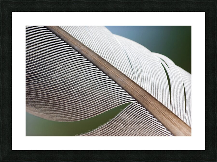 BUILT TO FLY Picture Frame print