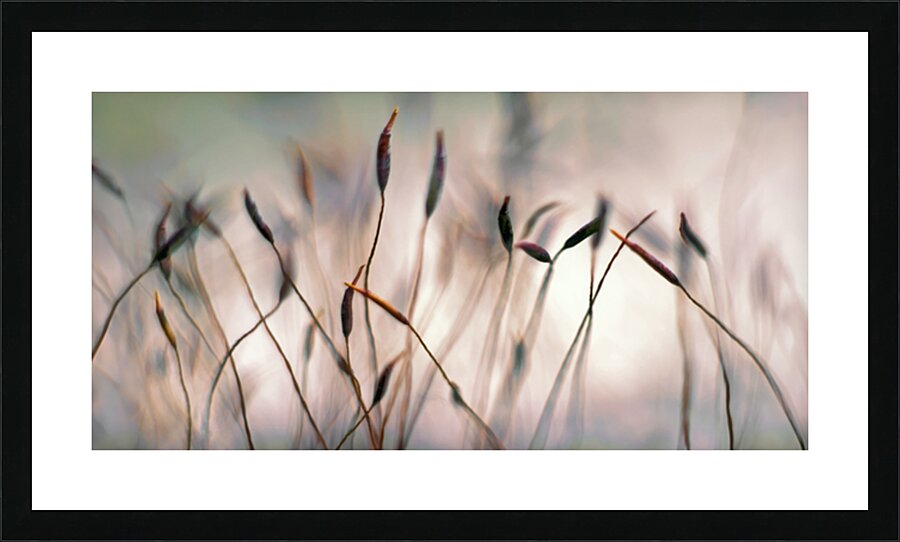 A MINIATURE FOREST Picture Frame print
